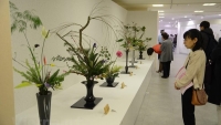 Ngạc nhiên với vẻ đẹp của nghệ thuật cắm hoa Ikebana Nhật Bản