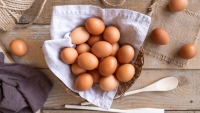 Những trường hợp không nên cho trẻ ăn trứng