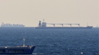 Tàu chở ngũ cốc đầu tiên của Ukraine thành công cập bến Thổ Nhĩ Kỳ