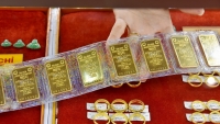 8 doanh nghiệp trúng thầu 8.100 lượng vàng miếng SJC