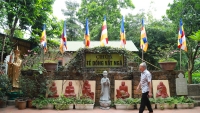 Nghĩa trang dành cho thú cưng 'độc nhất vô nhị' tại Hà Nội