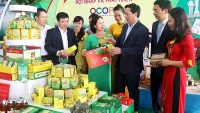 Thành lập Trung tâm Xúc tiến Đầu tư, Thương mại và Hỗ trợ doanh nghiệp tỉnh Thừa Thiên Huế