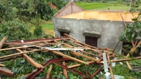 Phú Thọ: Mưa bão gây thiệt hại lớn về tài sản của người dân