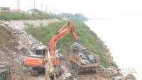 Phú Thọ: Xử lý khẩn cấp tình trạng sạt lở đê tả sông Thao
