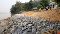 Phú Thọ: Được kè khẩn cấp, bờ sông Thao vẫn tiếp tục lún sụt