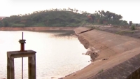 Phú Thọ: Đảm bảo cung cấp đủ nước tưới phục vụ sản xuất nông nghiệp sau sự cố vỡ đập hồ Đầm Thìn