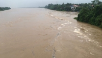 Phú Thọ: Báo động mực nước dâng cao trên sông Thao