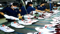 EVFTA giúp Việt Nam nhập khẩu được công nghệ giày dép tốt nhất