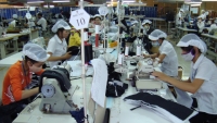 EVFTA sẽ đặt ra những thách thức lớn cho ngành dệt may Việt Nam