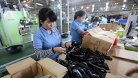 Doanh nghiệp Việt phải xây dựng nhãn hiệu sản phẩm riêng mới đủ sức cạnh tranh toàn cầu