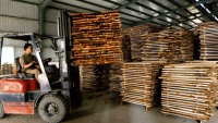 Ngành gỗ cần đảm bảo minh bạch xuất xứ hàng hóa