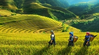 Phát động cuộc thi viết “Việt Nam - Vẻ đẹp bất tận”

