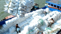 Xuất khẩu gạo có thể đạt 5,6 triệu tấn trong năm 2017
