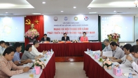 Hội thảo “Mạng xã hội trong bối cảnh phát triển xã hội thông tin ở Việt Nam”