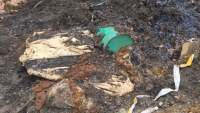 Bắc Kạn: Bắt quả tang xe tải đổ trộm hàng tấn chất thải công nghiệp