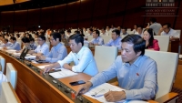 Quốc hội thông qua Nghị quyết về thu hồi đất Dự án sân bay Long Thành