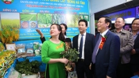 Phó Thủ tướng Vương Đình Huệ tiếp xúc cử tri và làm việc tại Hà Tĩnh 