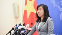 Việt Nam sẵn sàng thực hiện các biện pháp bảo hộ công dân cần thiết 