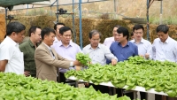 Nông nghiệp 4.0 - Cơ hội nào cho Việt Nam?
