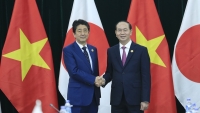 Chủ tịch nước: Quan hệ Việt- Nhật đang phát triển mạnh mẽ, toàn diện và thực chất