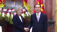 Chủ tịch nước Trần Đại Quang tiếp Bộ trưởng Ngoại giao Hàn Quốc