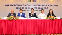 Tập đoàn CEO đặt mục tiêu lọt top 250 doanh nghiệp tư nhân lớn nhất Việt Nam