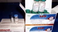 Cục Quản lý Dược: Vắc xin phòng bệnh dại vẫn đáp ứng đủ nhu cầu 