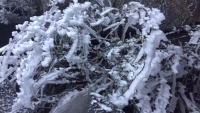 Bắc Bộ tiếp tục mưa rét- Đỉnh Fansipan mưa tuyết phủ trắng