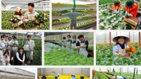 Nông nghiệp Việt Nam và những thách thức mới 