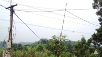 Hiểm hoạ đường điện “tạm bợ” ở xã Nông thôn mới
