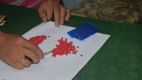 Thừa Thiên Huế: Liên tiếp bắt giữ các đối tượng buôn bán, sử dụng ma túy