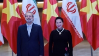 Lãnh đạo Đảng, Nhà nước tiếp, hội đàm với Chủ tịch Quốc hội Iran
