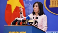 Việt Nam hoan nghênh thúc đẩy đối thoại, duy trì hòa bình trên Bán đảo Triều Tiên