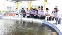 Formosa Hà Tĩnh cơ bản hoàn thành khắc phục sự cố môi trường biển