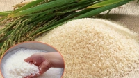 Gạo Việt - còn đó những nỗi lo 