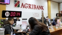 Hệ thống kết nối thanh toán song phương giữa Agribank và Kho Bạc Nhà nước của Agribank được vinh danh tại Sao Khuê 2018