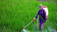 Tẩy chay thuốc bảo vệ thực vật độc hại, nâng cao chất lượng nông sản Việt Nam 