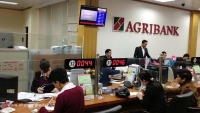 Fitch Rating nâng xếp hạng tín nhiệm Agribank lên mức BB- với Triển vọng “Ổn định”