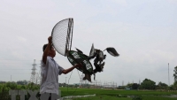 “Phóng điểu”, thú chơi chim bồ câu độc đáo của người Kinh Bắc