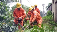 Hà Nội: Không để xảy ra tai nạn về điện trong mùa mưa bão