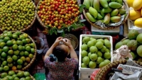Nông sản Việt còn phụ thuộc vào thị trường Trung Quốc đến bao giờ?