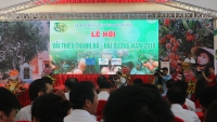 Phó Thủ tướng Vũ Đức Đam dự khai mạc Lễ hội vải thiều Thanh Hà- Hải Dương