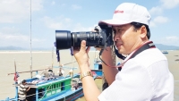 Hành trình đi tìm “Đường đi của cát Việt ra nước ngoài”