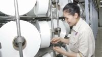 Nhà máy Xơ sợi Đình Vũ đã xuất bán 149 tấn sợi Filament