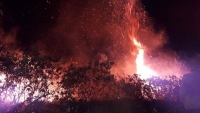 Hà Tĩnh:  Cháy lớn rừng khiến 20 ha rừng phòng hộ đã bị thiêu rụi hoàn toàn 