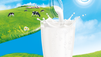 Mách nhỏ các mẹ cách tìm “Quy chuẩn sữa tươi”