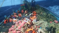 Hai tàu chở khách lật úp ngoài khơi đảo Phuket làm 49 người mất tích