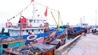 Cần tháo gỡ bất cập trong hệ thống cảng cá ở Hà Tĩnh