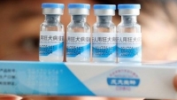 Chưa phát hiện vắcxin phòng dại của Trung Quốc bị thu hồi giấy phép lưu hành tại Việt Nam