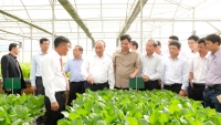 Thủ tướng chủ trì Hội nghị về thúc đẩy đầu tư vào nông nghiệp